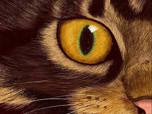 猫1号（个人主页-ZNTQ1MjYxNzY=） - 创作习作 - 站酷设计师LLSF原创素材 - 站酷ZCOOL