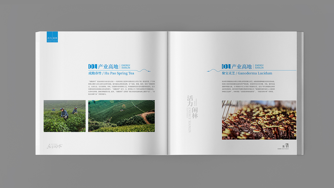 乐享闲林2018画册设计（图ZMTY4OTA4NDky） - 书籍/画册 - 站酷设计师孟公子原创素材 - 站酷ZCOOL