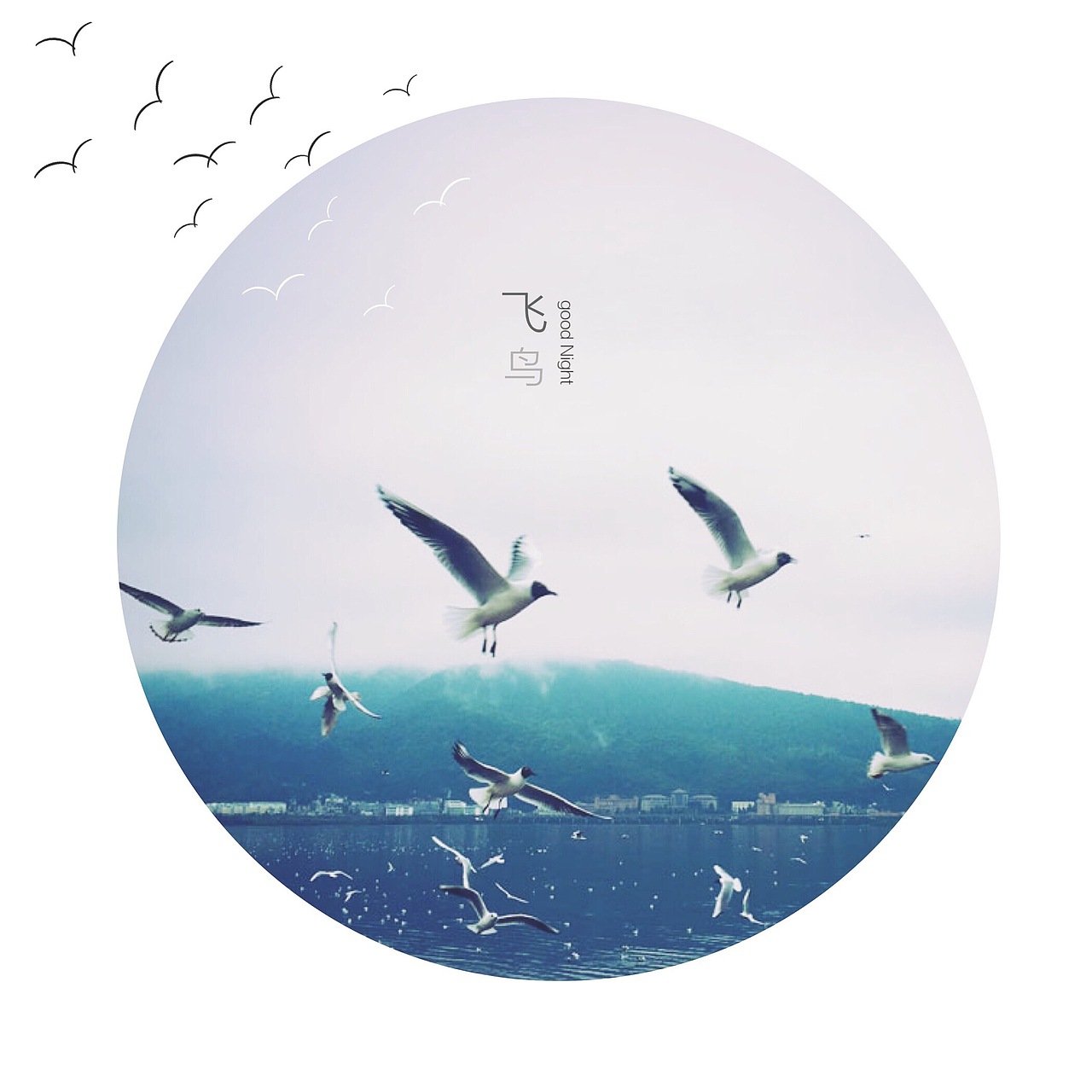 365摄影计划（3）（图ZNDUzNTU3Mjg=） - 其他摄影 - 站酷设计师Pexels原创素材 - 站酷ZCOOL