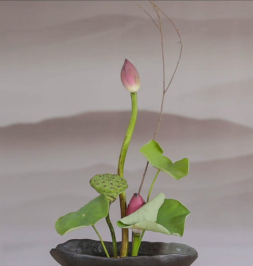 花鏡--插花與手繪的新結(jié)合（圖ZOTA0OTM1NjQ=） - 創(chuàng)作習(xí)作 - 站酷設(shè)計(jì)師江先生的魚(yú)塘原創(chuàng)素材 - 站酷ZCOOL