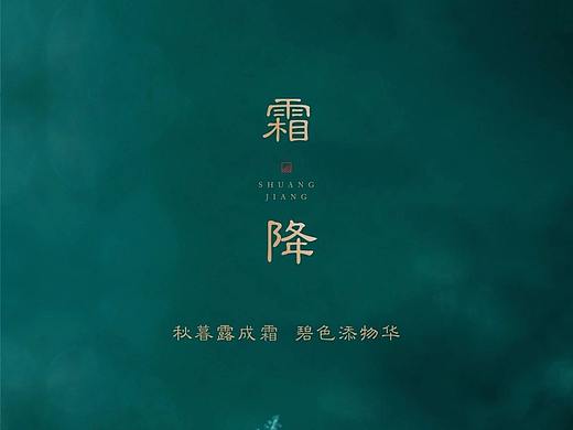 2021地产霜降海报合集-96P（赠送打包文件）