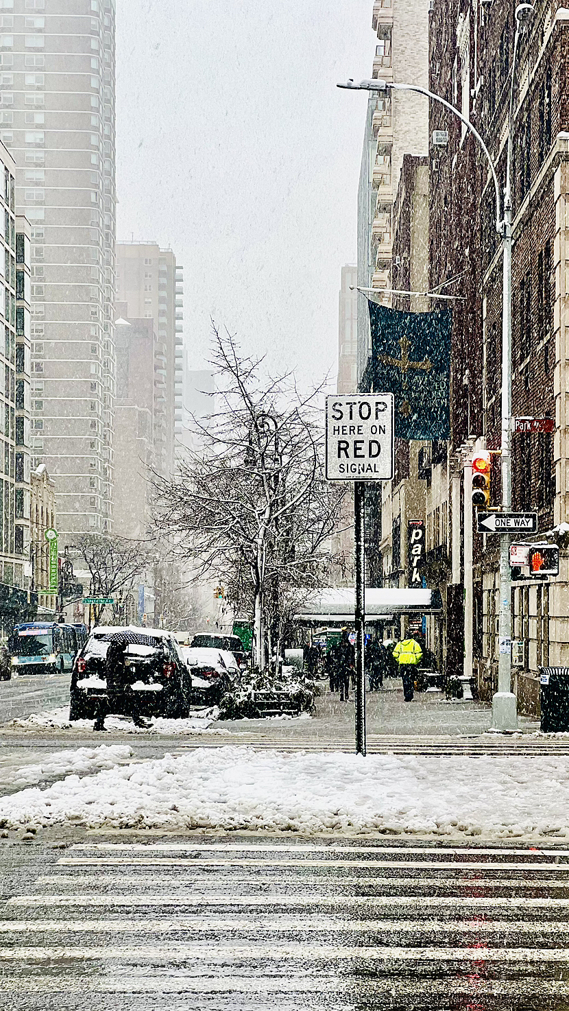 大梦|纽约下了一场雪