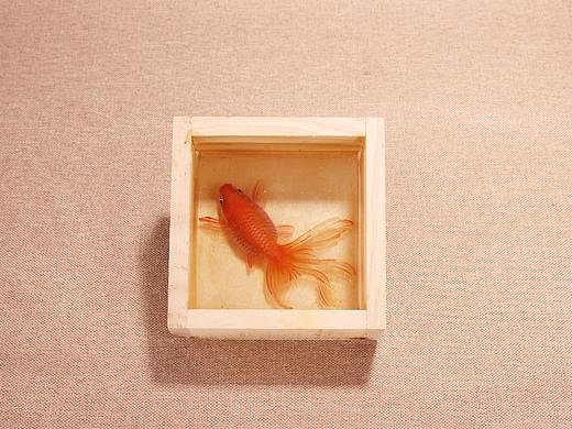 金魚酒（個人主頁-ZMjQxOTc4NDA=） - 繪畫 - 站酷設計師優(yōu)木原創(chuàng)素材 - 站酷ZCOOL