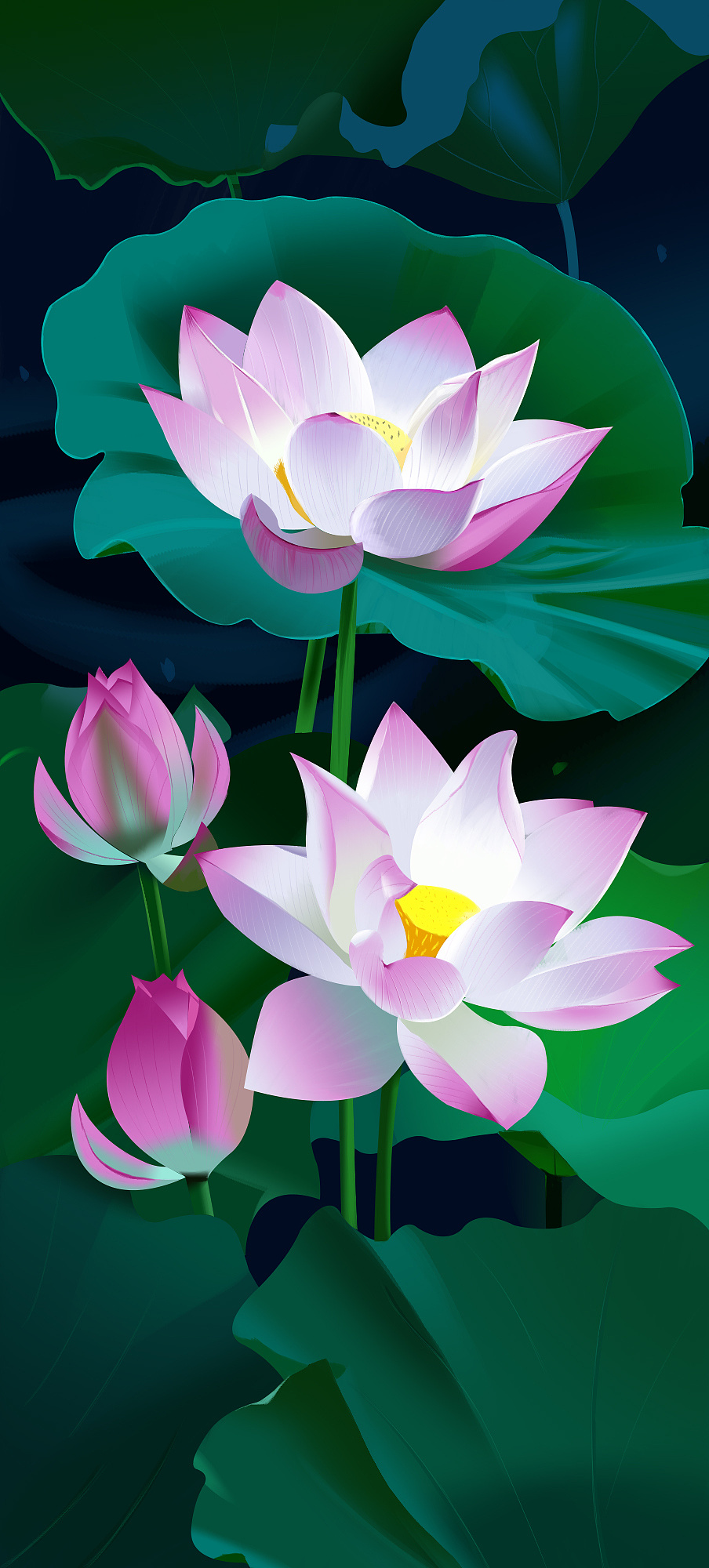 莲花- 原创作品 - 站酷(zcool)