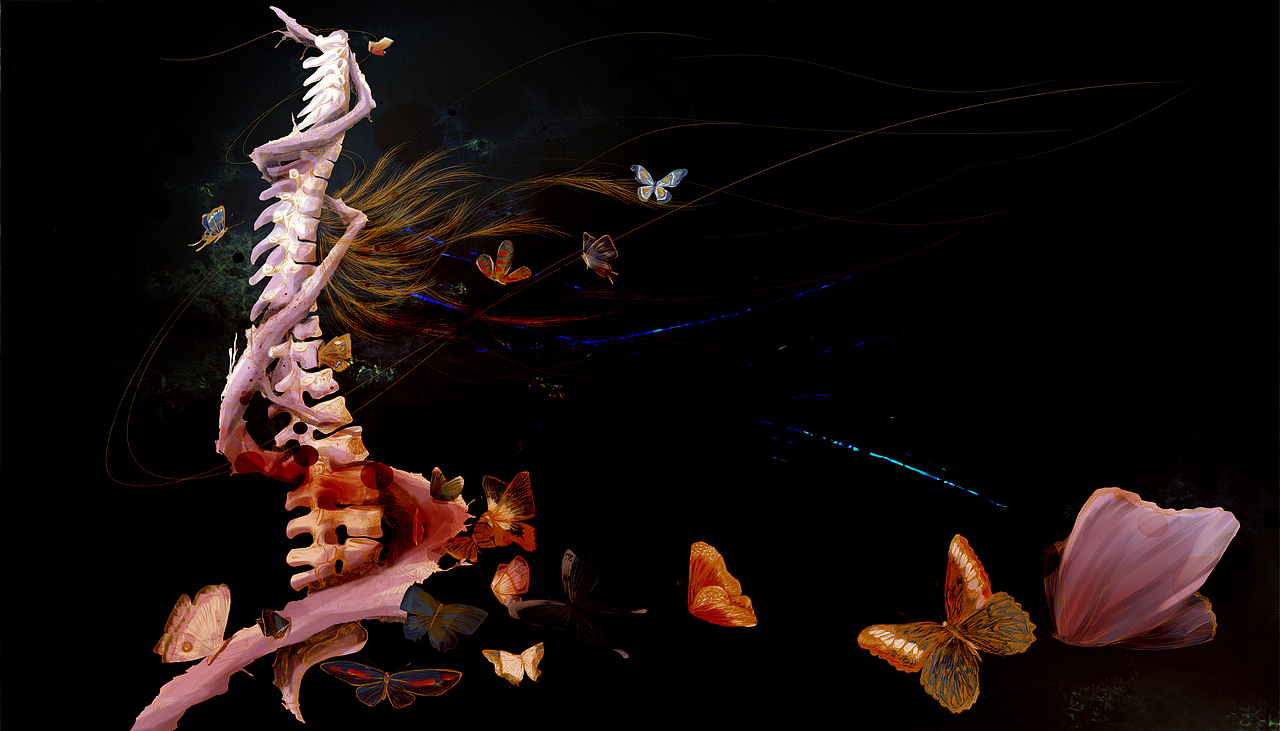 
<br>人死后 血液 肌肤慢慢消散 留下可以存千年白骨<br>很久很久以后 你还会认出我么 即使没有那令你欢喜的皮囊<br>很久很久以后 你还会在我身边么 即使我们没有可以发声的喉咙<br><br>我会认出你啊 还是那样喜欢你<br>还会在你身边啊 你看这些飞舞的蝶 是我一直一直对你的思念<br><br>.....<br><br>