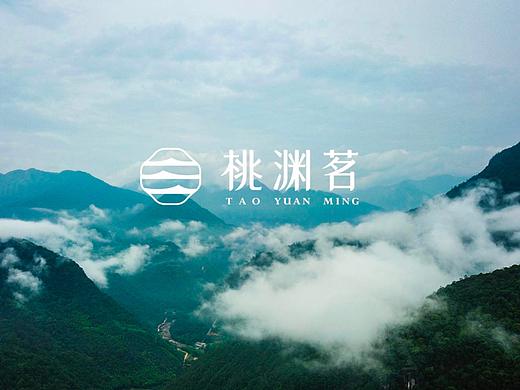 茶品牌 韵味武夷茶 品格桃渊茗（个人主页-ZNTAyMjAzMTY=） - 品牌 - 站酷设计师品牌战略实力派原创素材 - 站酷ZCOOL