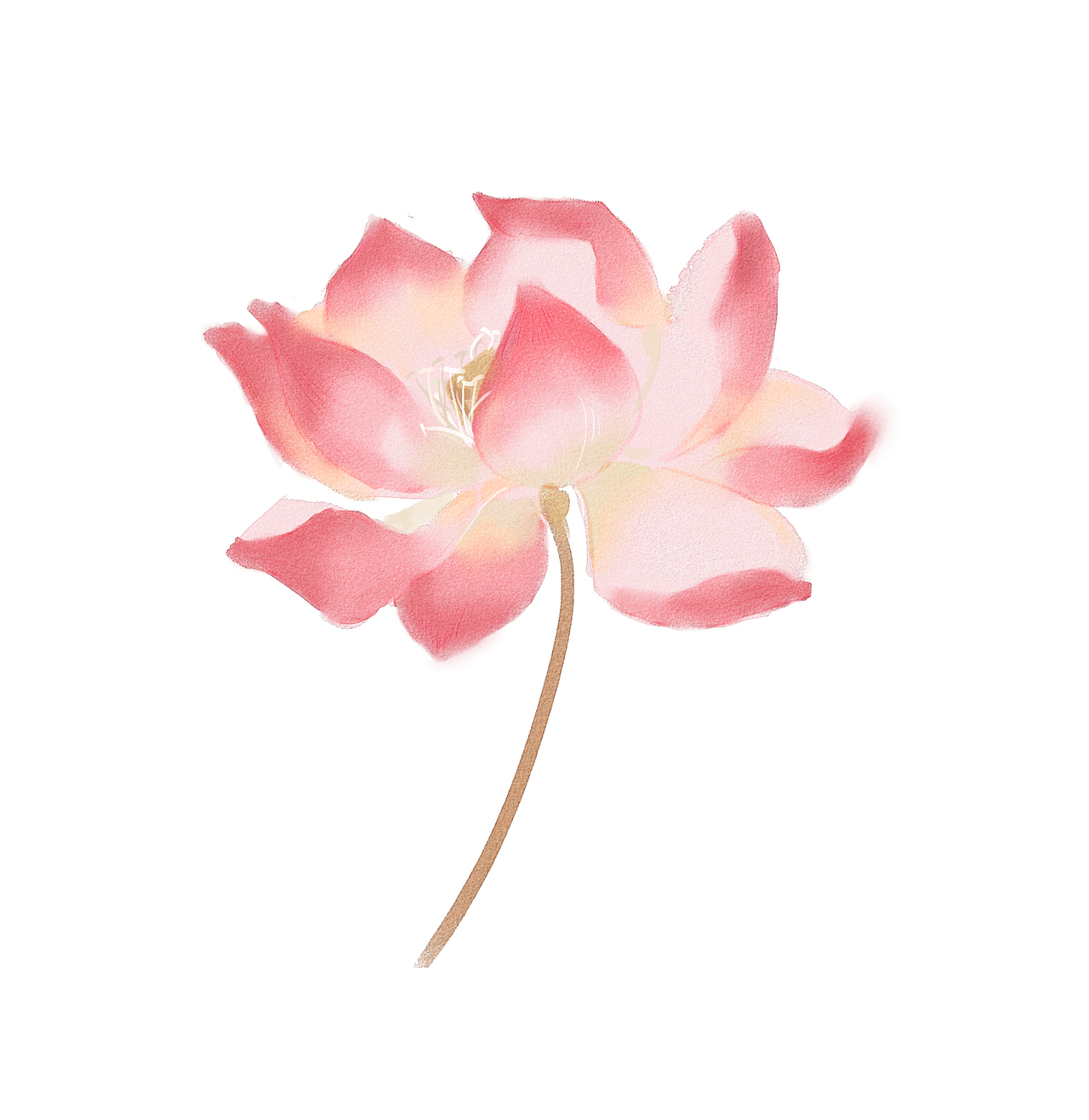 荷花（图ZMTgxMzE4ODQ4） - 创作习作 - 站酷设计师艳骨_原创素材 - 站酷ZCOOL