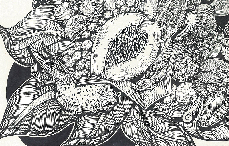 新书的创作画稿