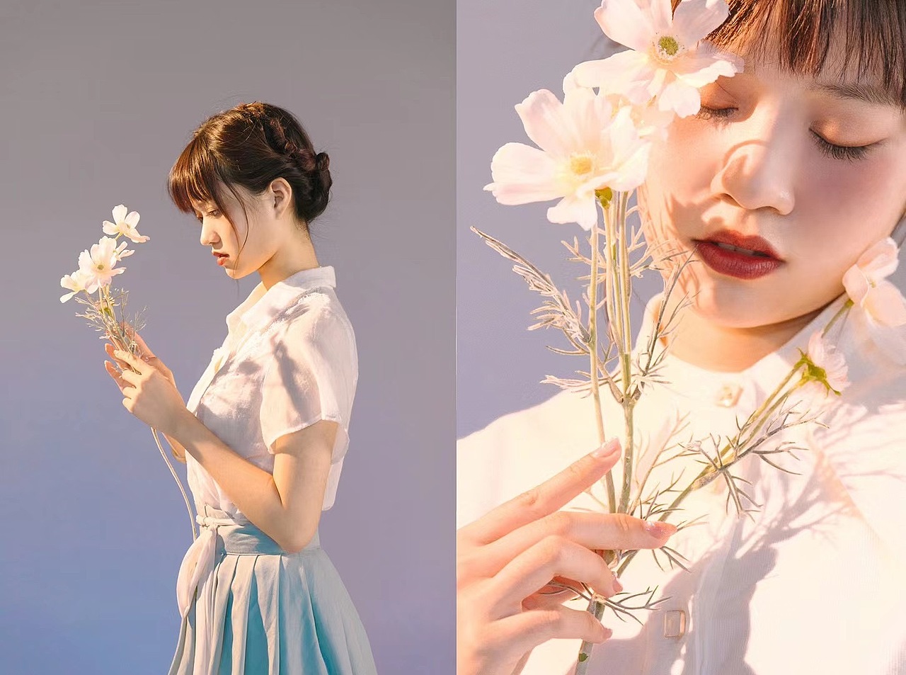 春天里的写真