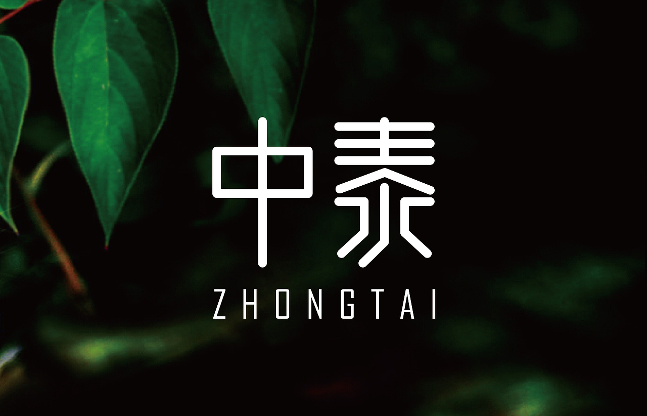 中泰-字体Logo设计-不考虑行业属性你喜欢哪一个