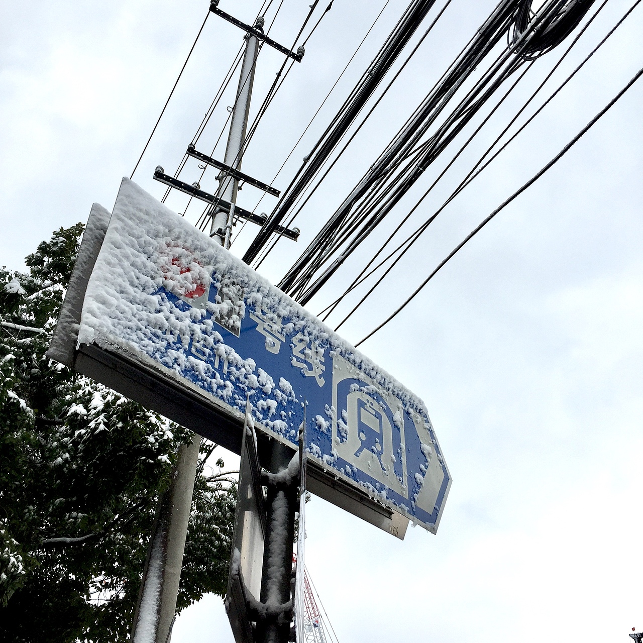 2018-上海-雪