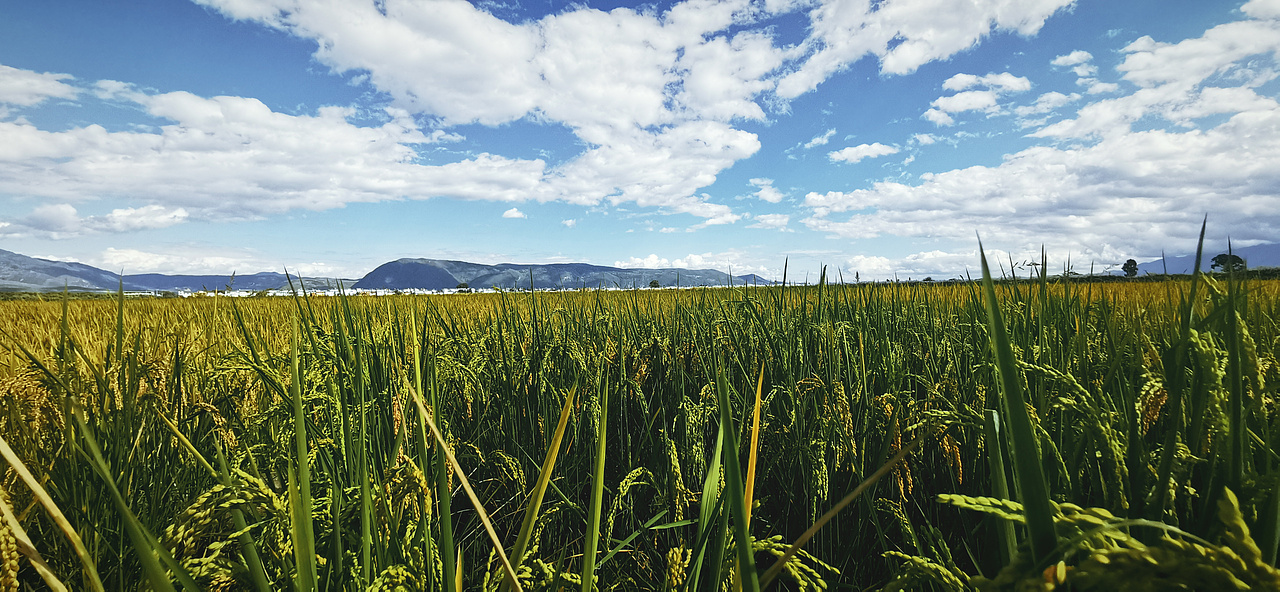 云南·说走就走de旅行