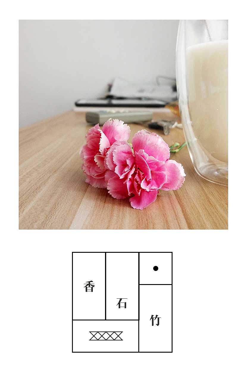 香石竹（图ZODE4NTAzNjg=） - 其他平面 - 站酷设计师啊啊啊阿宝原创素材 - 站酷ZCOOL