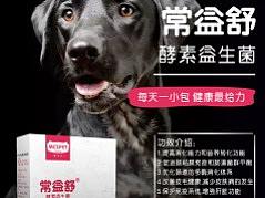 海报（个人主页-ZMzY5MzA4NTI=） - 宣传物料 - 站酷设计师浅浅的小酒窝原创素材 - 站酷ZCOOL