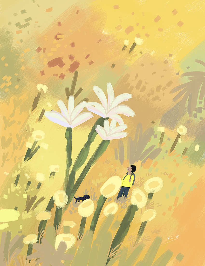 旅行（图ZMjc4MTQzNDY4） - 商业插画 - 站酷设计师小刺猬1原创素材 - 站酷ZCOOL