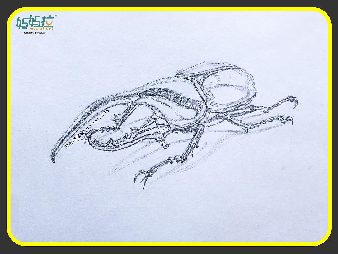 素描长戟大兜虫