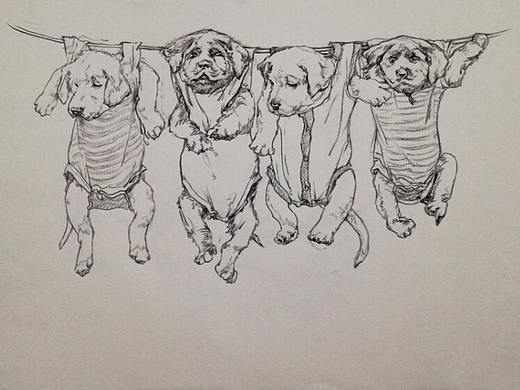 人与自然（个人习作合集）