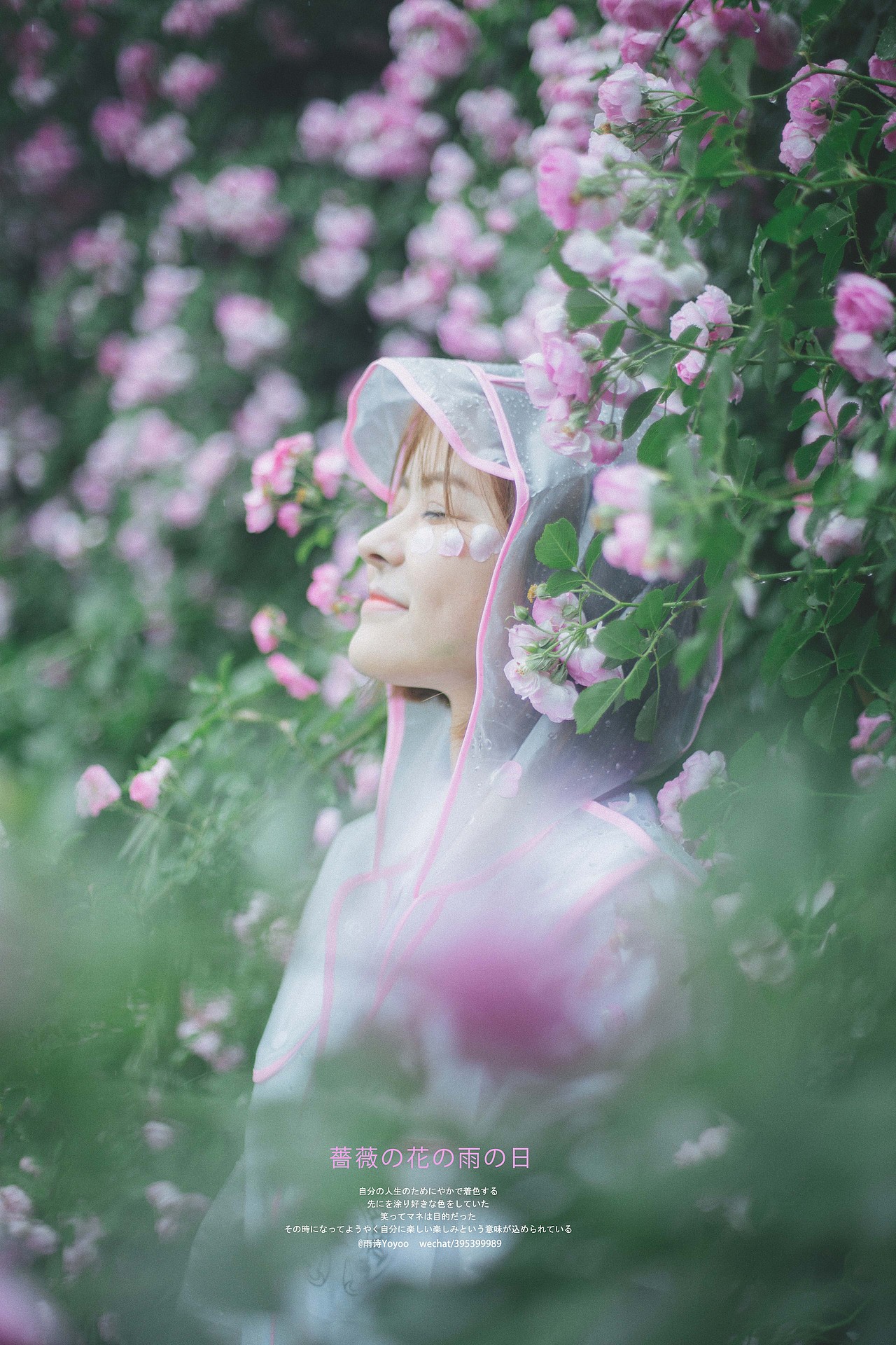 蔷薇花落下雨天（图ZNTAxMDA1MTY=） - 人像摄影 - 站酷设计师bupyoyo原创素材 - 站酷ZCOOL