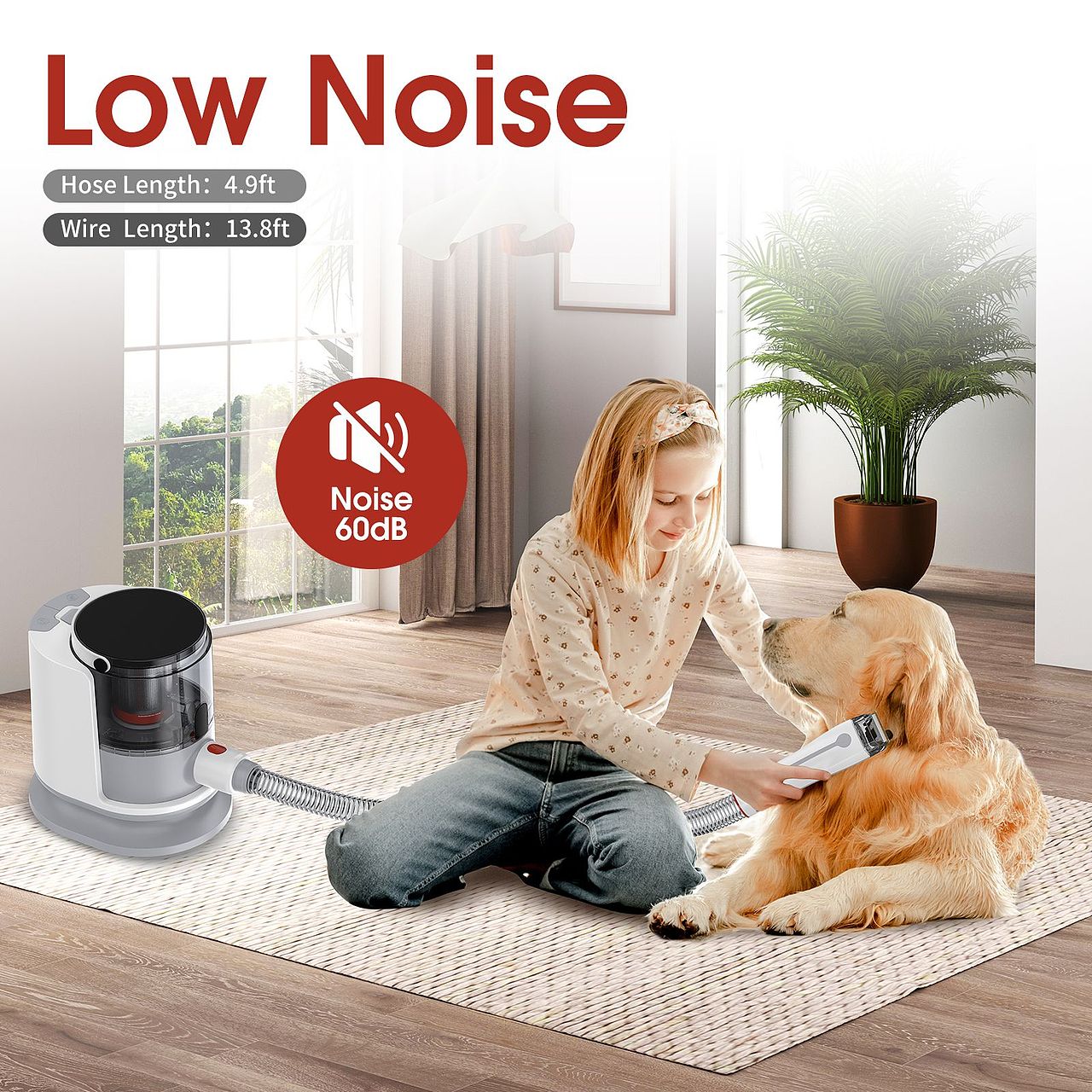 亚马逊宠物用品建模渲染主图设计a+美工修图