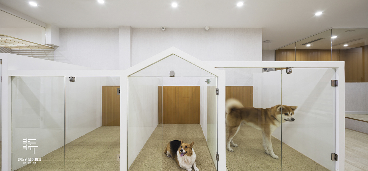 杭州它宅 pet hotel and spa 宠物酒店