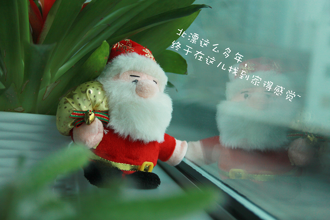 2015年圣誕節(jié)的隨拍（圖ZNTY3ODAzMzY=） - 其他攝影 - 站酷設計師山山而川上的麥子原創(chuàng)素材 - 站酷ZCOOL