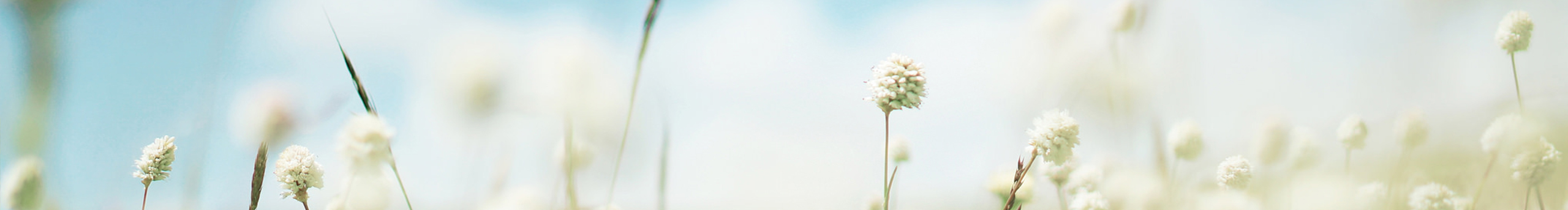 愛馬Z的個人主頁（封面預覽） - 主頁封面設置 - 站酷設計師愛馬Z原創(chuàng)素材 - 站酷ZCOOL