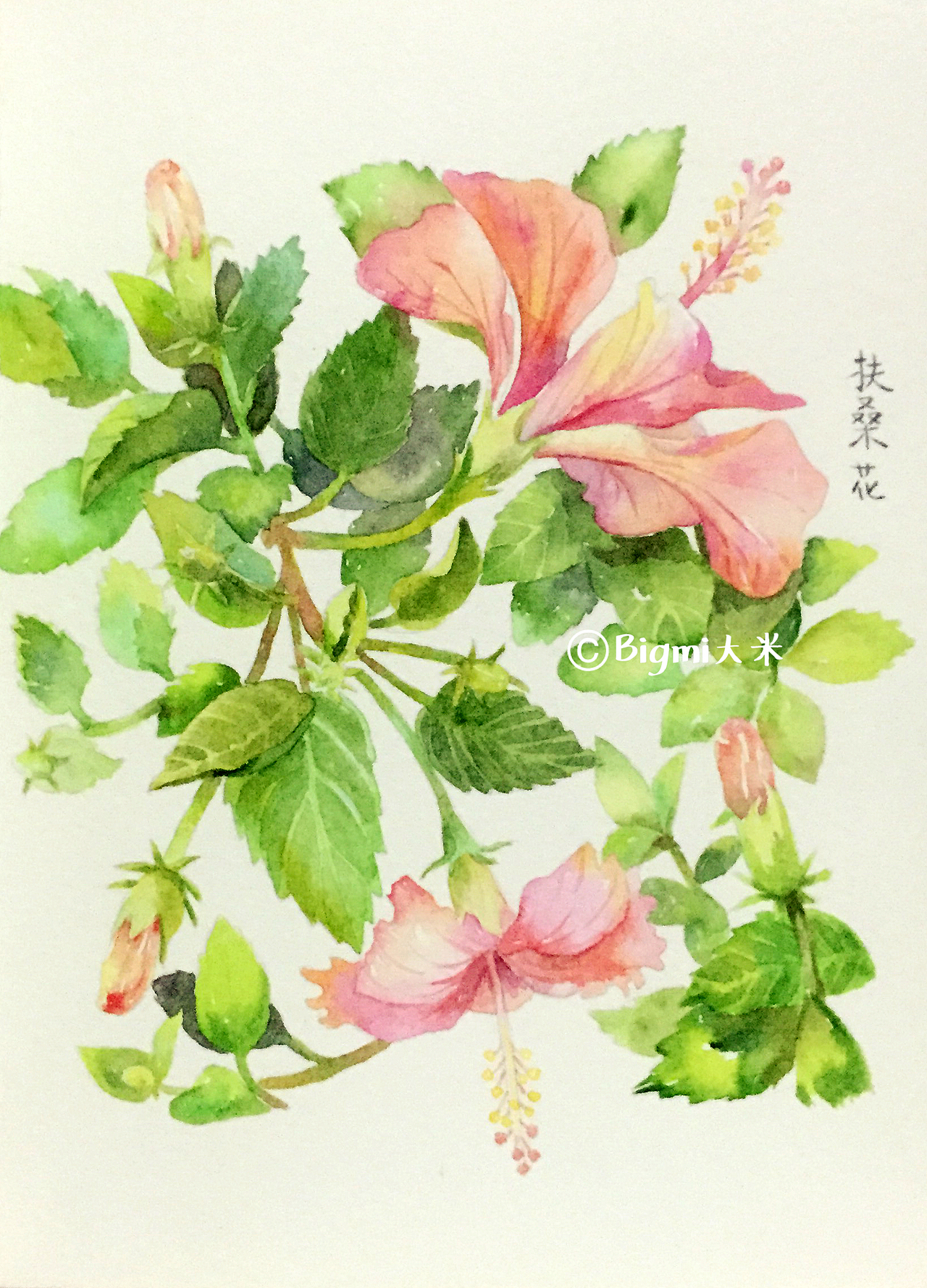 那些花儿-原创手绘水彩插画(图ZMTE5ODc1OTA4) - 艺术插画 - 站酷设计师Bigmi大米原创素材 - 站酷ZCOOL