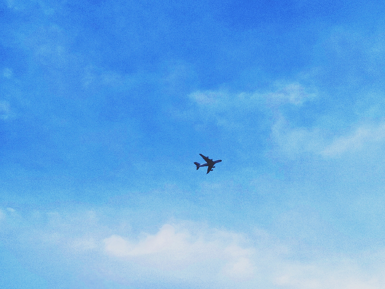 都是用手机拍的喜欢就关注一下吧嘻嘻