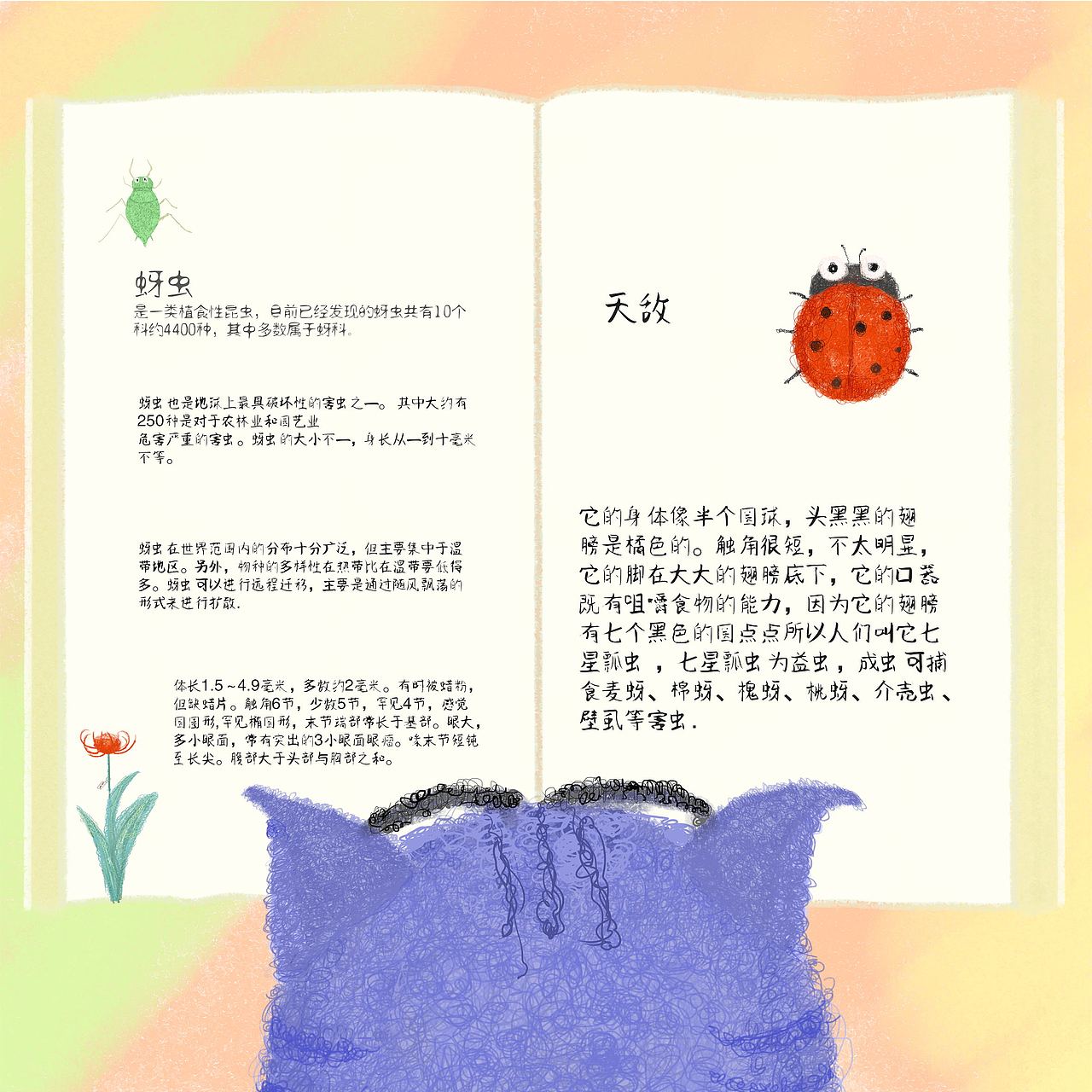 绘本《狸猫先生和七星瓢虫》