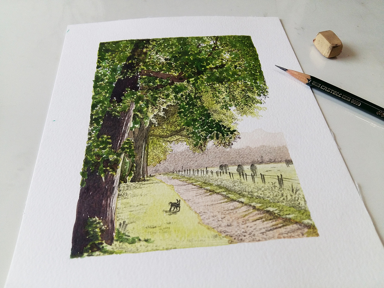 习作 纸本水彩石墨