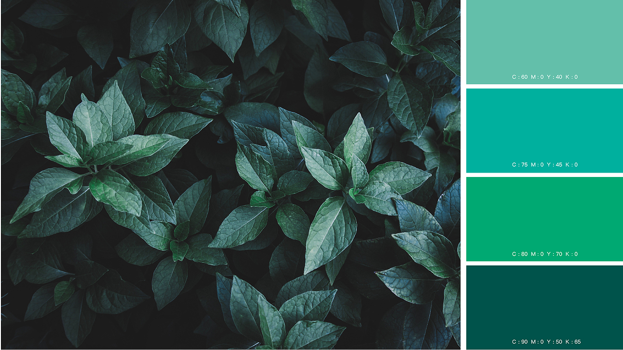 薇薇花艺-花店品牌设计（图ZMTY2OTY3MDcy） - 品牌 - 站酷设计师大壮z原创素材 - 站酷ZCOOL