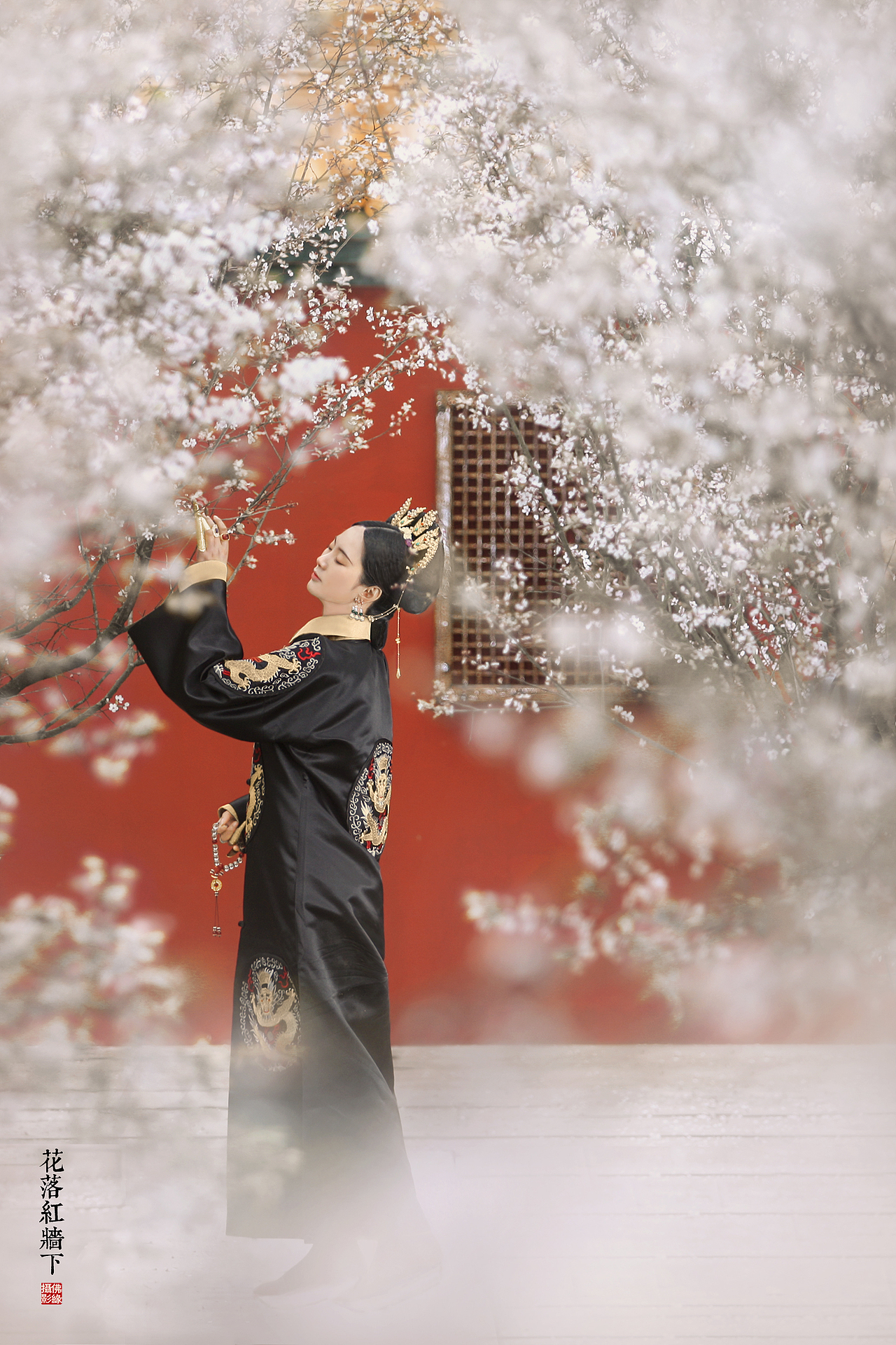 花落红墙下（图ZMjA2NjM1MTgw） - 人像摄影 - 站酷设计师爱拍照的我原创素材 - 站酷ZCOOL