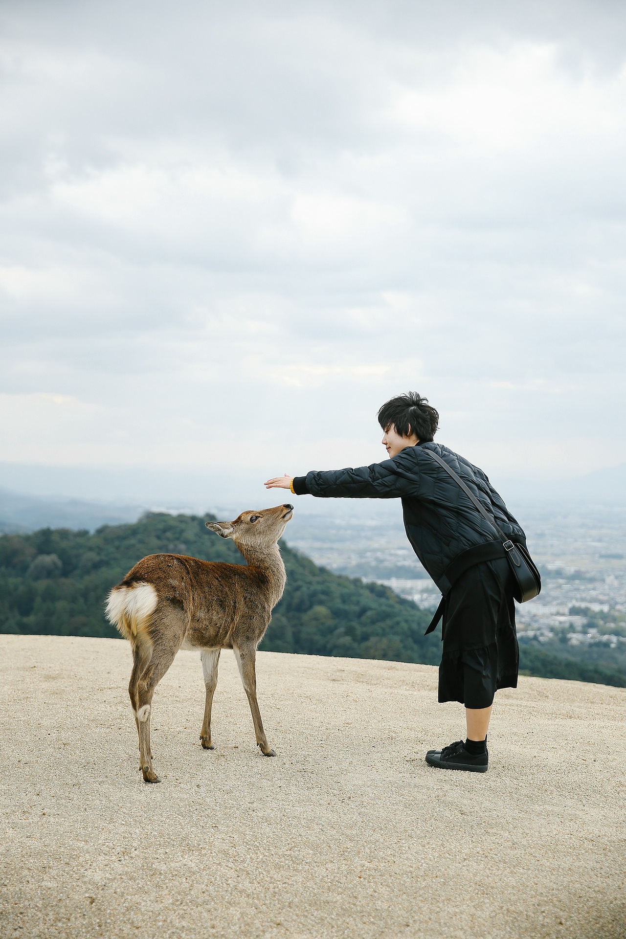 关于京都 奈良 镰仓的记忆