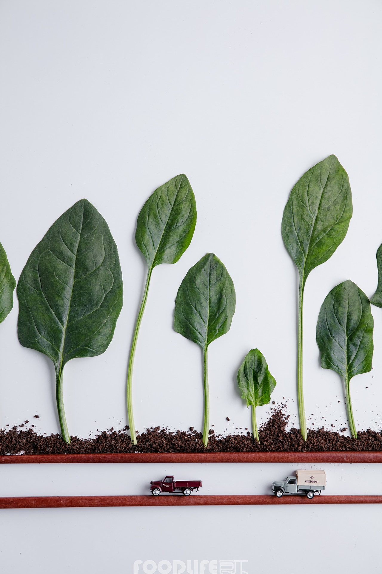 微观摄影-火锅食材-创意商业拍摄（图ZMTAxMTg0ODA4） - 产品摄影 - 站酷设计师食术原创素材 - 站酷ZCOOL