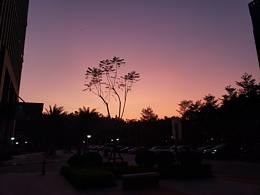 一張來自上班族下班后記錄的風(fēng)景