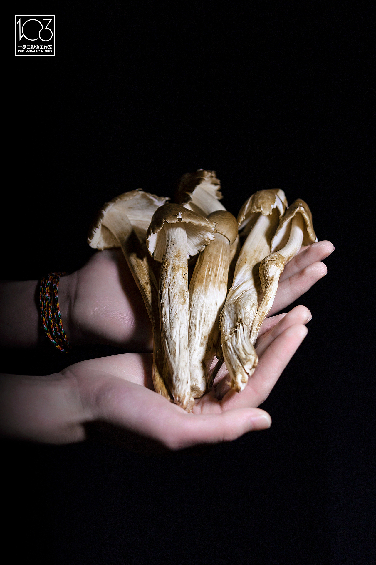 「鸡纵菌」舌尖上的山野美馔 大自然赐予的美味珍馐