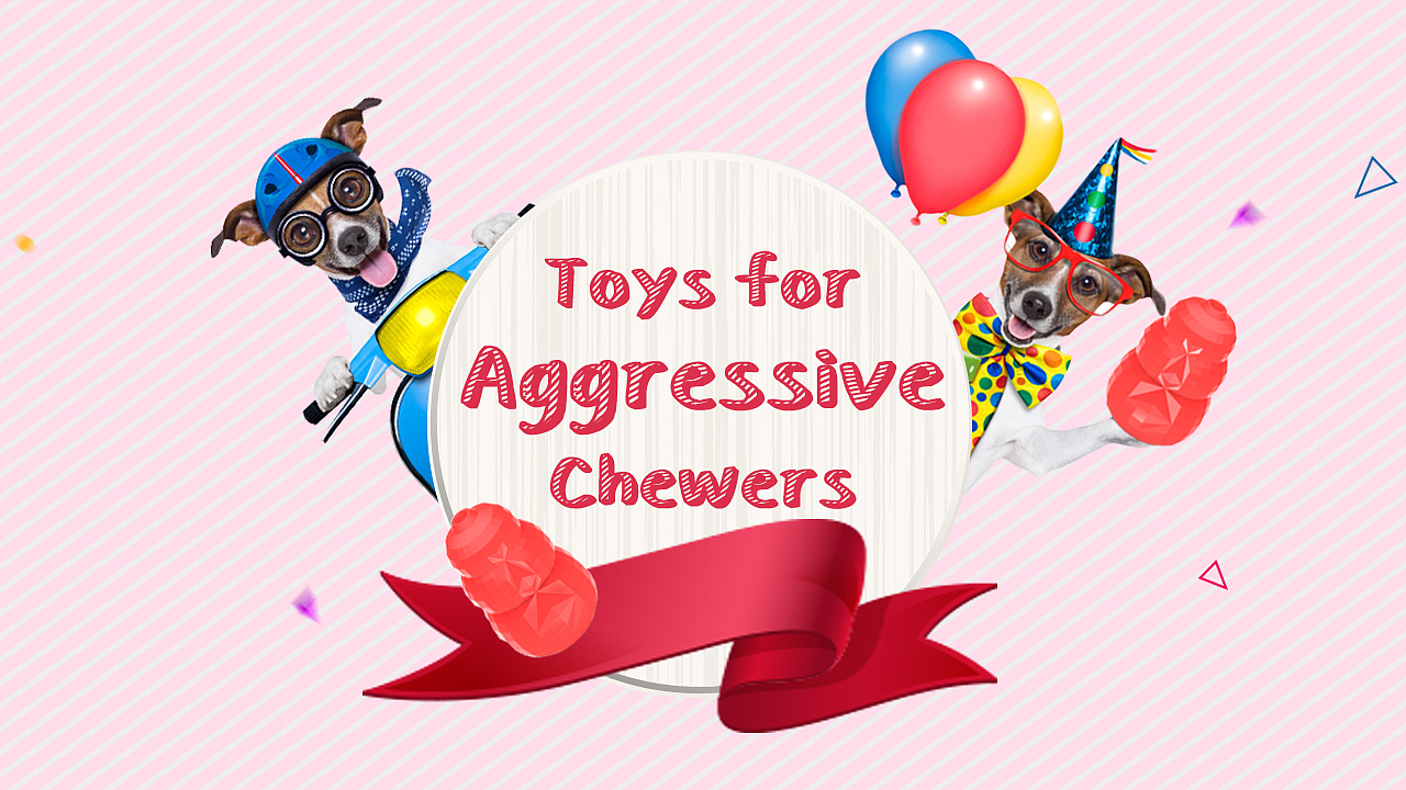 宠物玩具（图ZOTYyMTYyNDQ=） - 图案 - 站酷设计师皮蛋solo粥eee原创素材 - 站酷ZCOOL