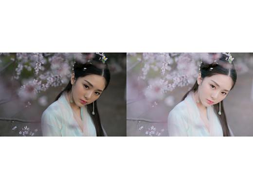 每日一更-唯美桃花古风调色（个人主页-ZMzgyNTA2NTI=） - 海报 - 站酷设计师虾片摄影原创素材 - 站酷ZCOOL