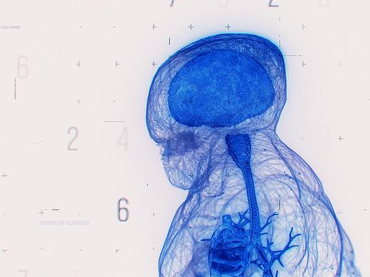 Human laboratory（個(gè)人主頁(yè)-ZNDYyMDQ5NTI=） - 其他三維 - 站酷設(shè)計(jì)師Duckman鴨頭君原創(chuàng)素材 - 站酷ZCOOL