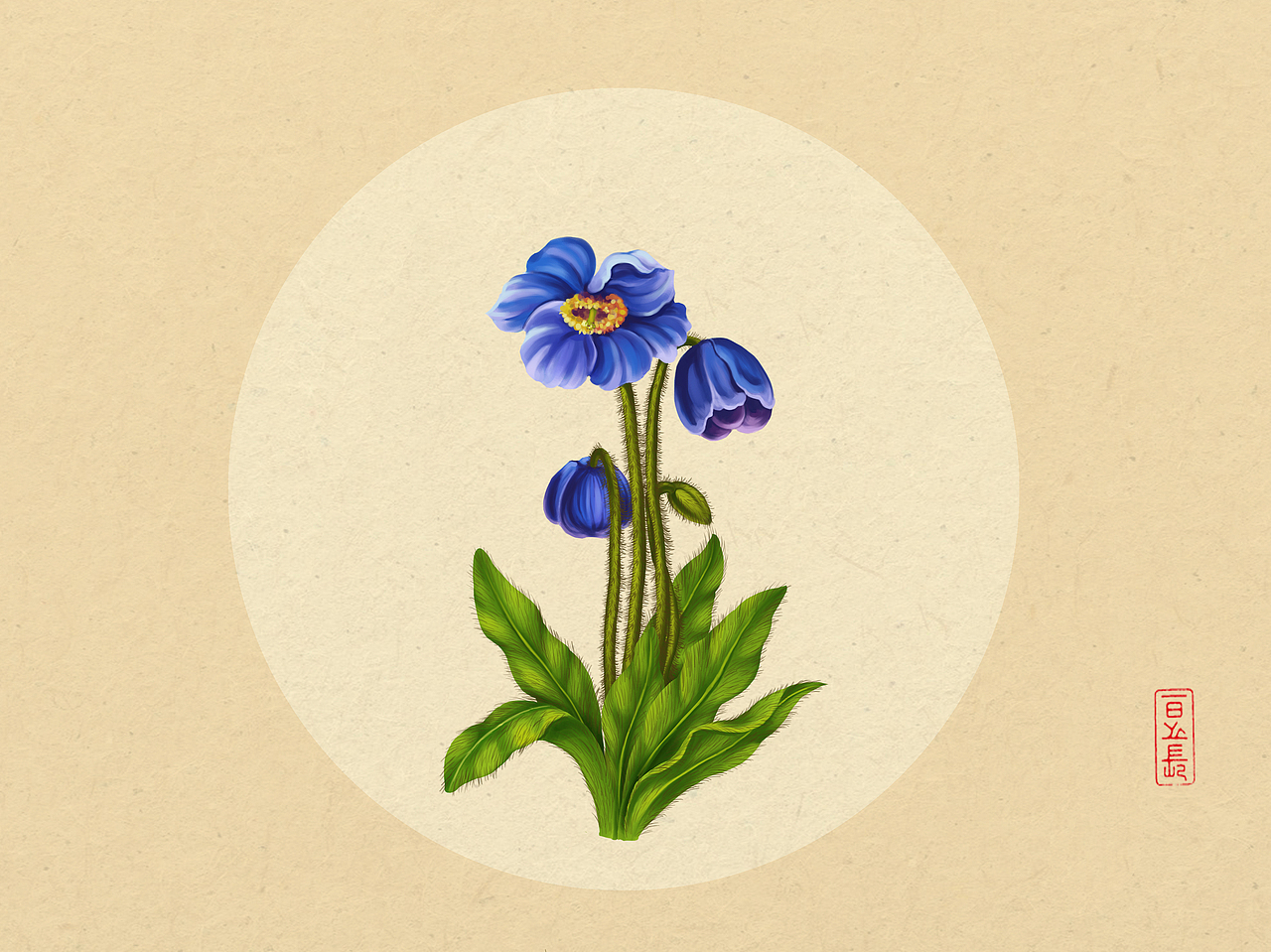 植物插画系列（三）（图ZODQxNTQzNDg=） - 商业插画 - 站酷设计师日光倾城417原创素材 - 站酷ZCOOL