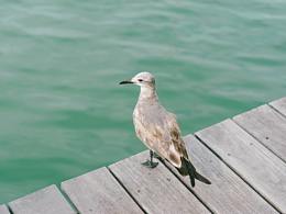 Photography攝影作品集