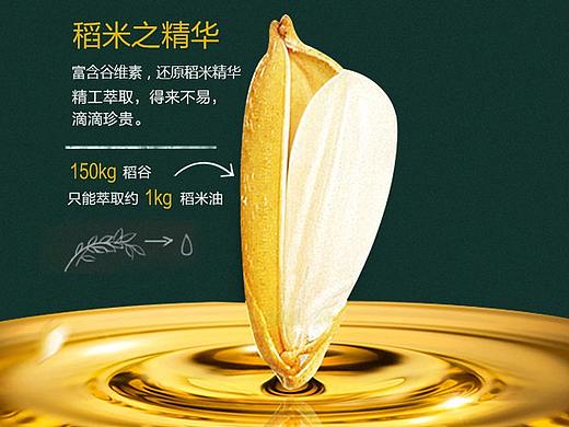 金龙鱼稻米油详情页厨房用品美食达人
