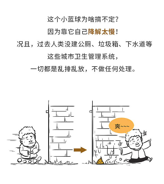 《垃圾分分分分分分分类史》