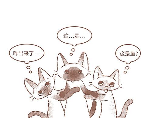【傻猫们的无聊日常】猫猫草