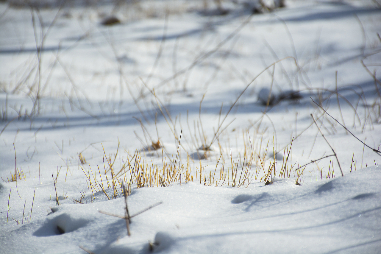 个人摄影作品集