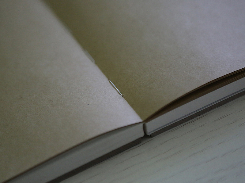 《蜜獾》—傅淳强硬笔画系列笔记本