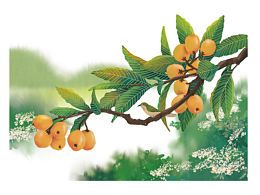 杂志的一些小插图