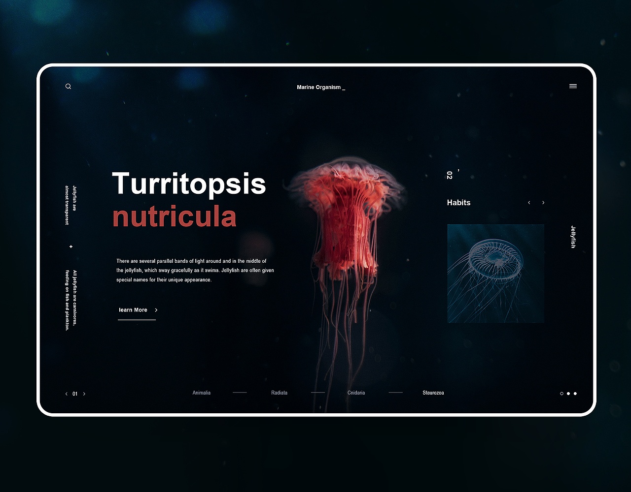 11月网页练习(30张来了!)