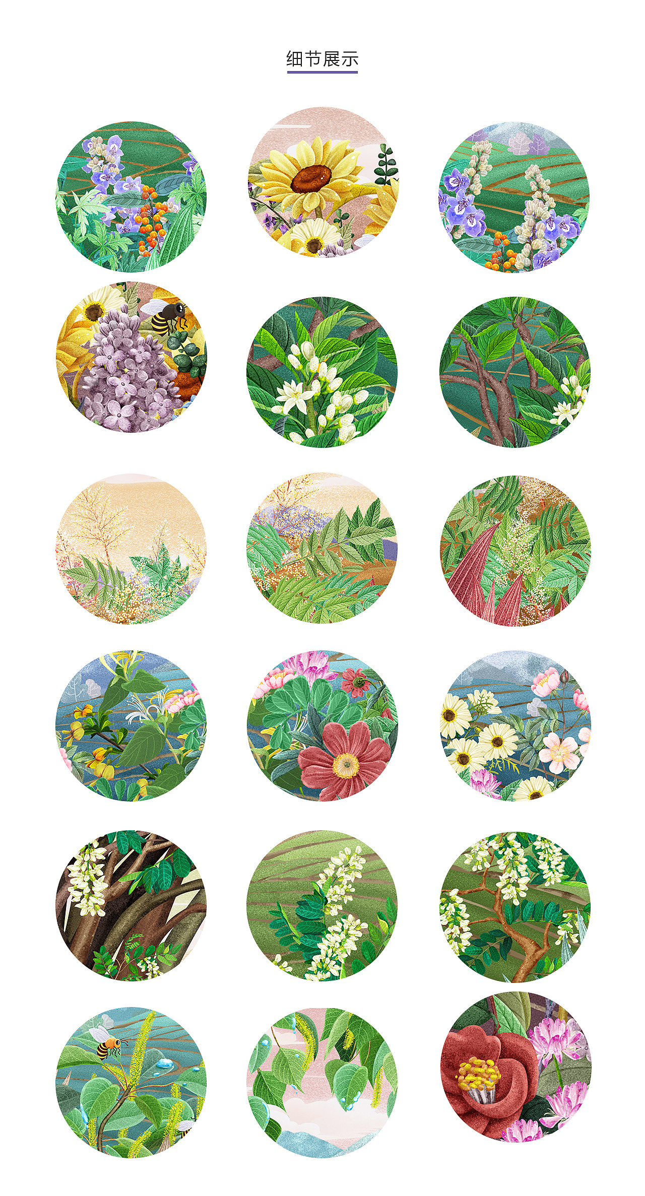 蜂蜜包装插画系列