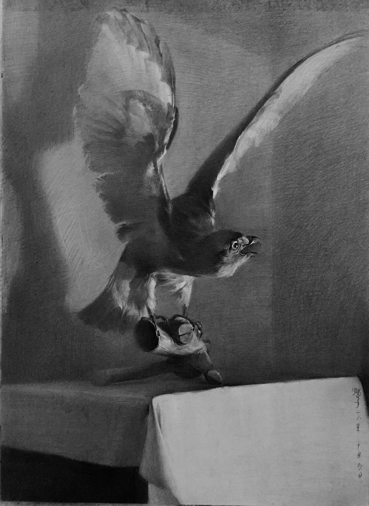 素描作品《鹰》（图ZMTgzNDUyMDY0） - 绘画 - 站酷设计师起义绘画原创素材 - 站酷ZCOOL